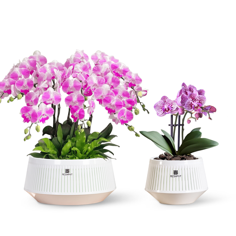 Aloe Vera Pot - メッシュポット蘭鉢、穴と受け皿付き、屋内および屋外用の植木鉢、風で吹き飛ばされた風合いのカットアウトで空気循環を促進します。