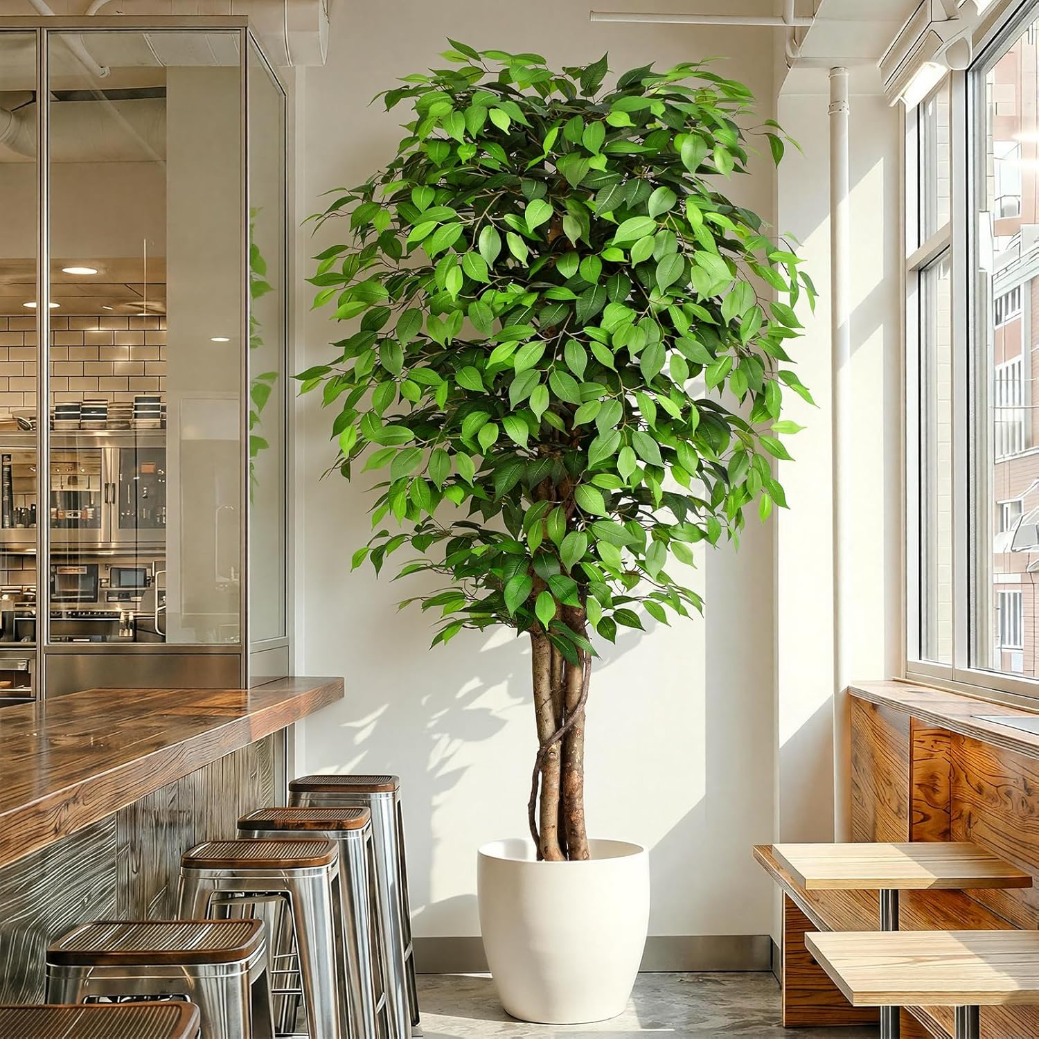 Dracaena Marginata - 本物そっくりの人工フィカスツリー、自然な幹と豊かな葉が特徴、モダンな家やオフィスのインテリアに最適