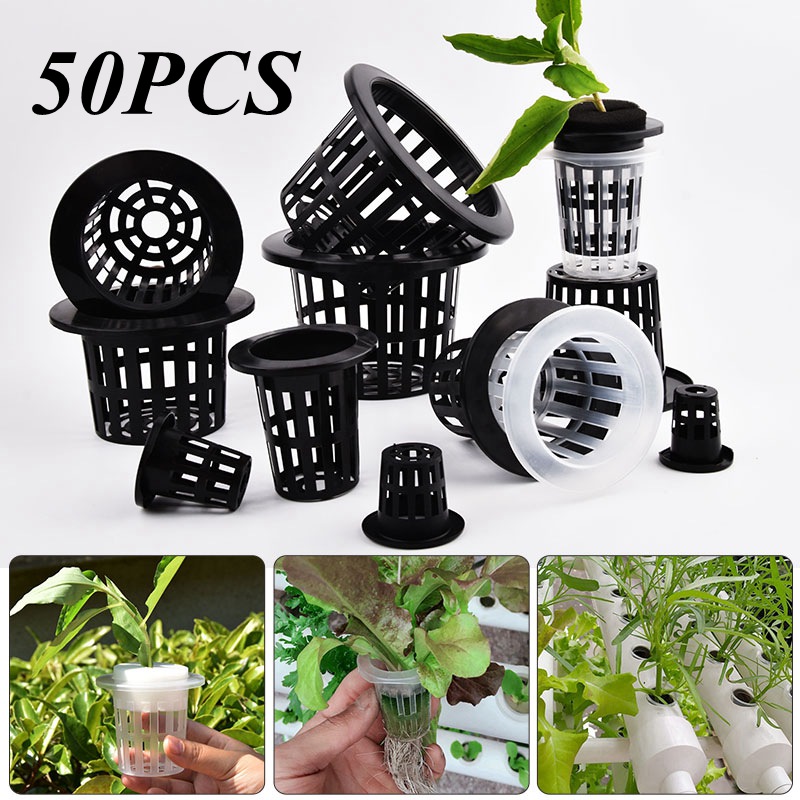 Aloe Vera Pot - 50個入り黒白土を使わないメッシュ植物育成ポット、ネットバスケットホルダー、野菜育苗カップトレイ、スポンジ水耕栽培ポット