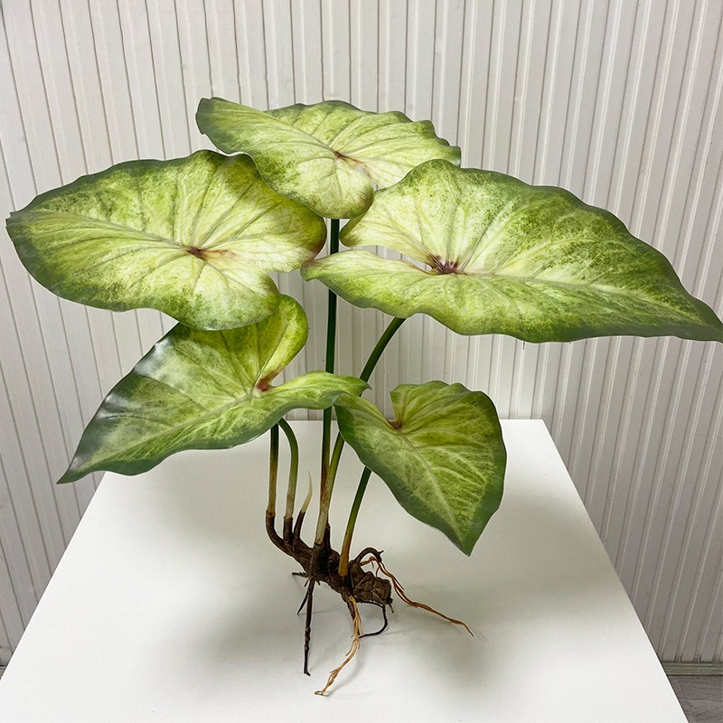 Dracaena Marginata - リアルな大きな蓮の葉と根付きの植物、人工緑植物、景観庭園装飾、シミュレーション植物、屋外ホテル装飾