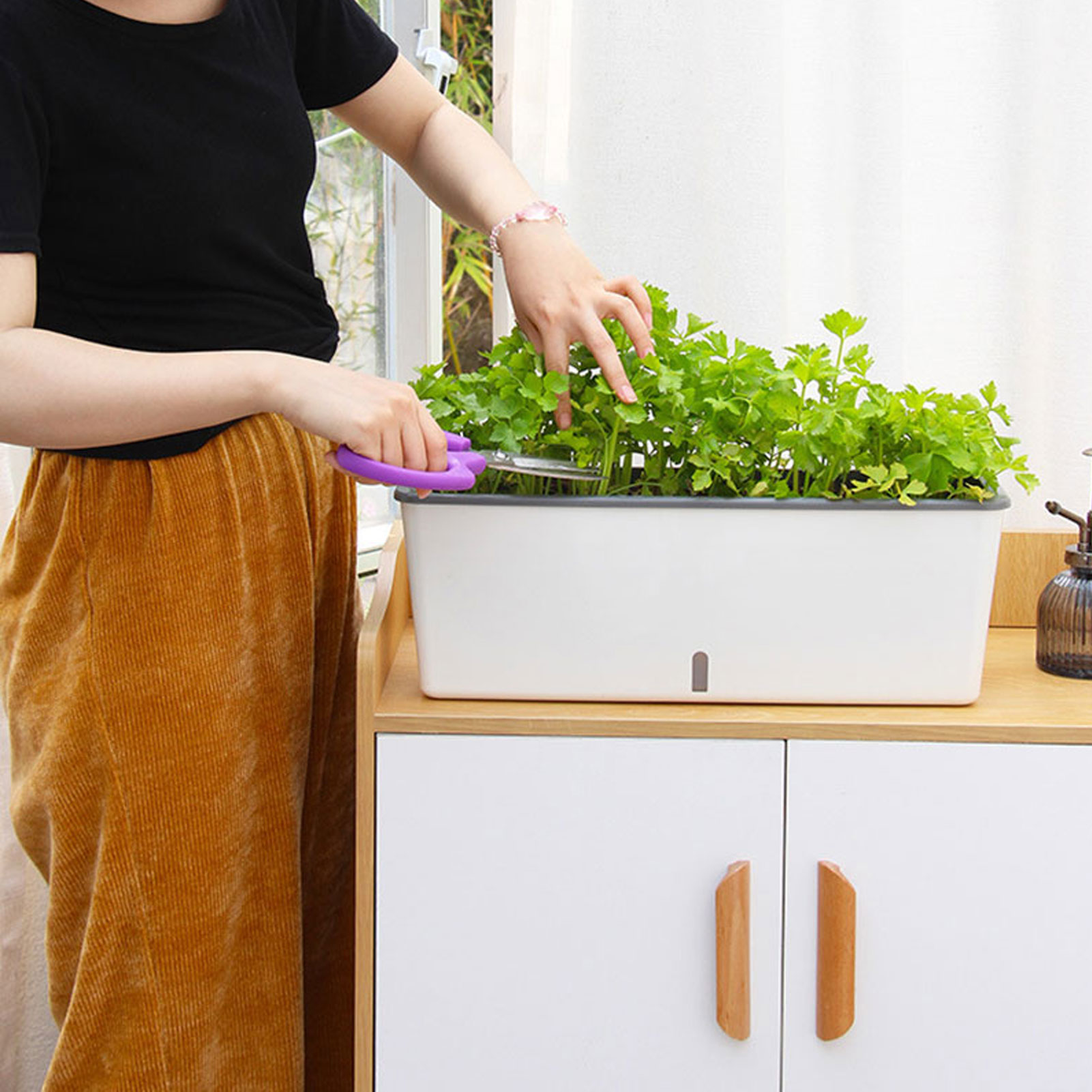 自動給水プランターポット 便利な水位インジケーター付き 友人 - Aloe Vera Pot のレビューと価格