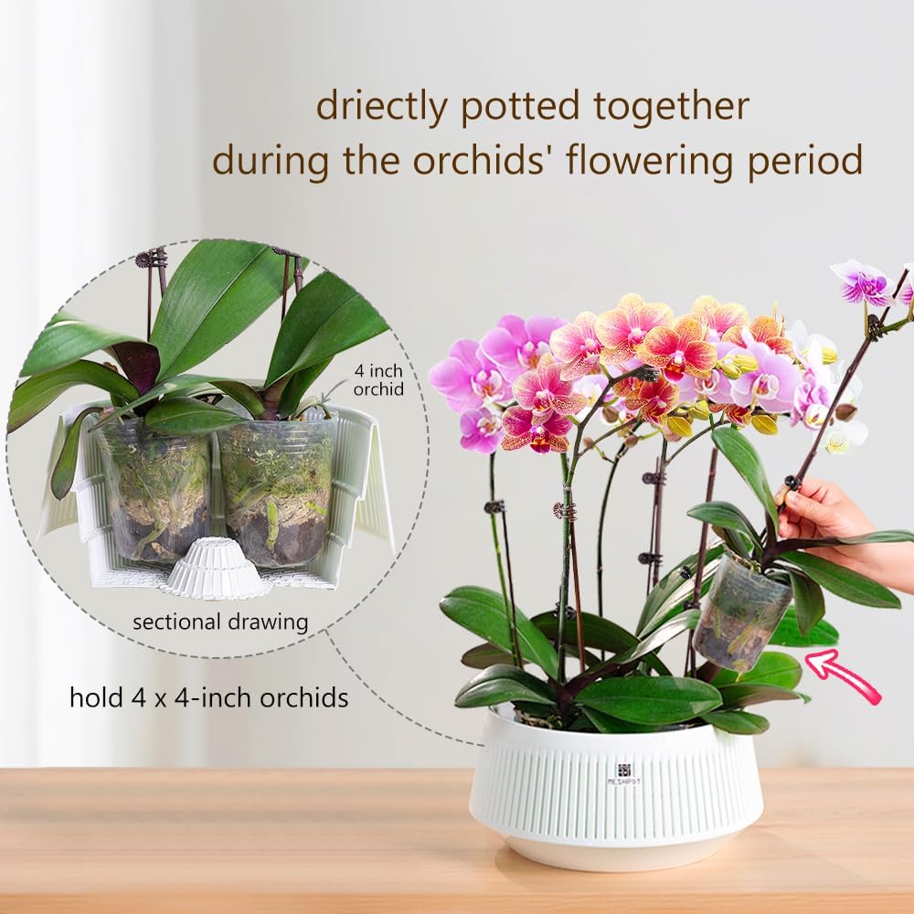 メッシュポット蘭鉢、穴と受け皿付き、屋内および屋外用の植木鉢 - Aloe Vera Pot のレビューと価格