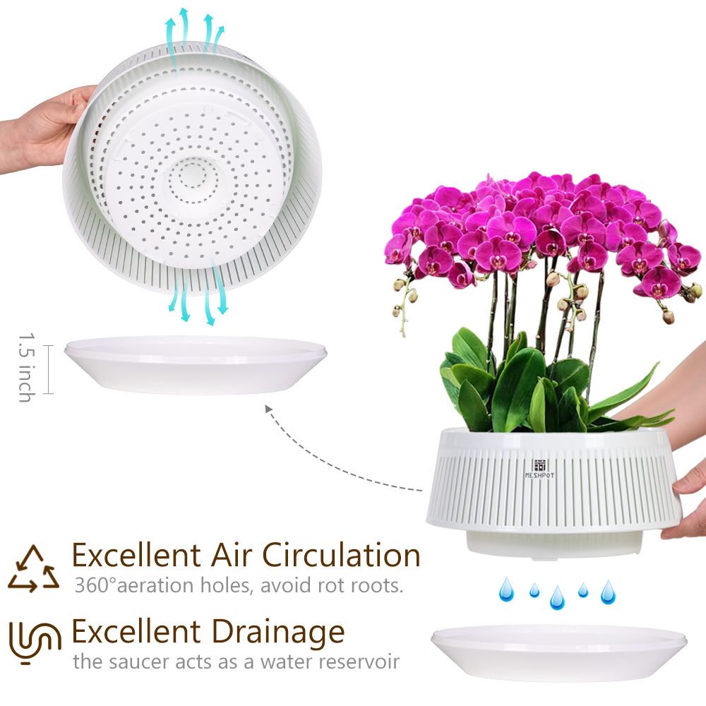 メッシュポット蘭鉢、穴と受け皿付き、屋内および屋外用の植木鉢 - Aloe Vera Pot のレビューと価格