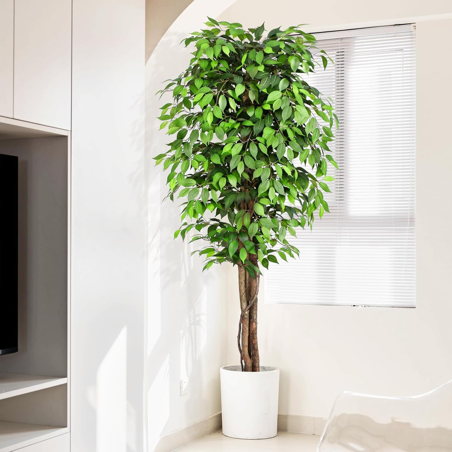 本物そっくりの人工フィカスツリー、自然な幹と豊かな葉が特徴、 - Dracaena Marginata のレビューと価格