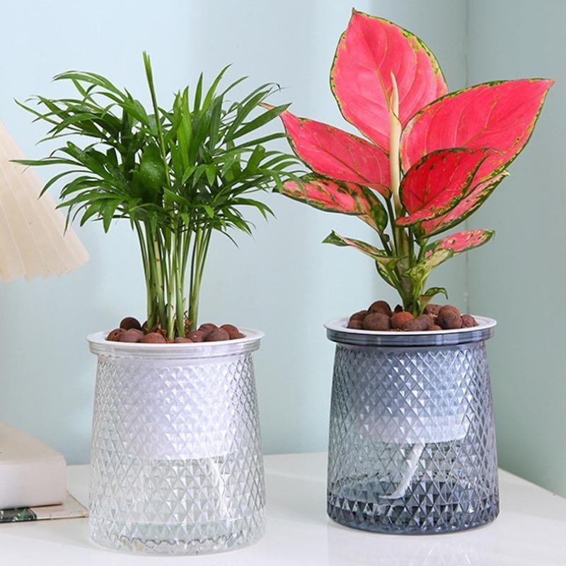 2024 透明自己散水植木鉢プラスチック植木鉢二層自動怠惰な - Aloe Vera Pot のレビューと価格