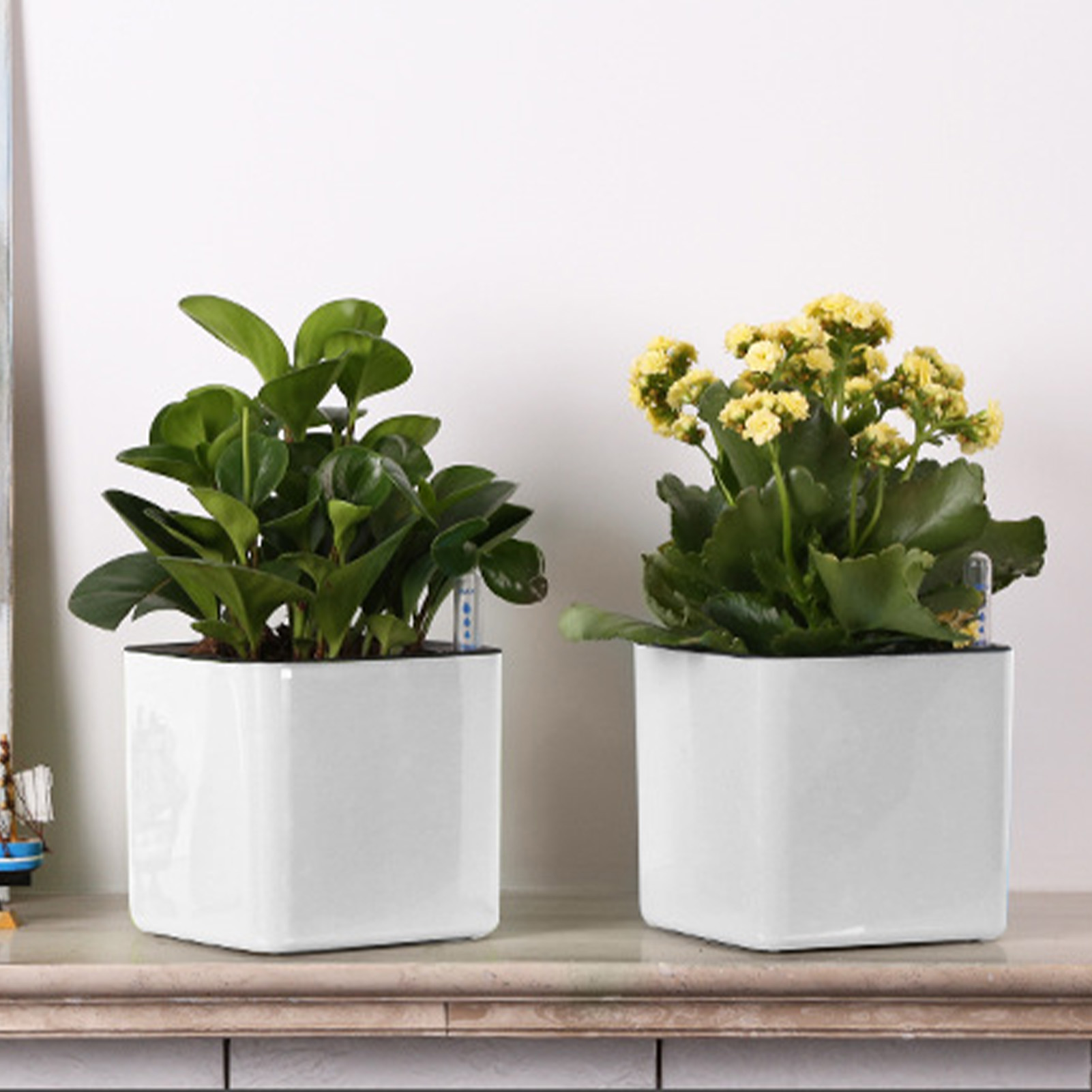 自動給水プランター 水位計付き自動給水ポット ホワイト 自動 - Aloe Vera Pot のレビューと価格