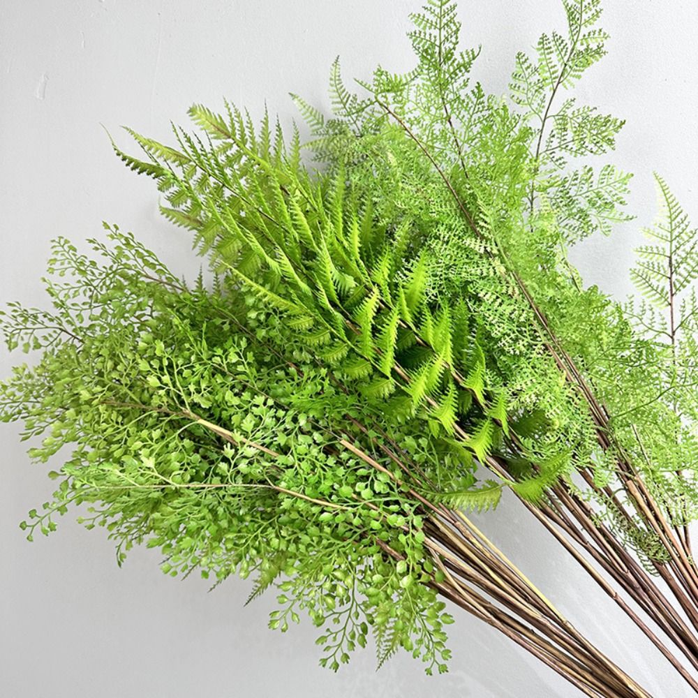 リアルな人工シダ植物の枝手作りエレガントな人工緑シダ草リアル - Dracaena Marginata のレビューと価格