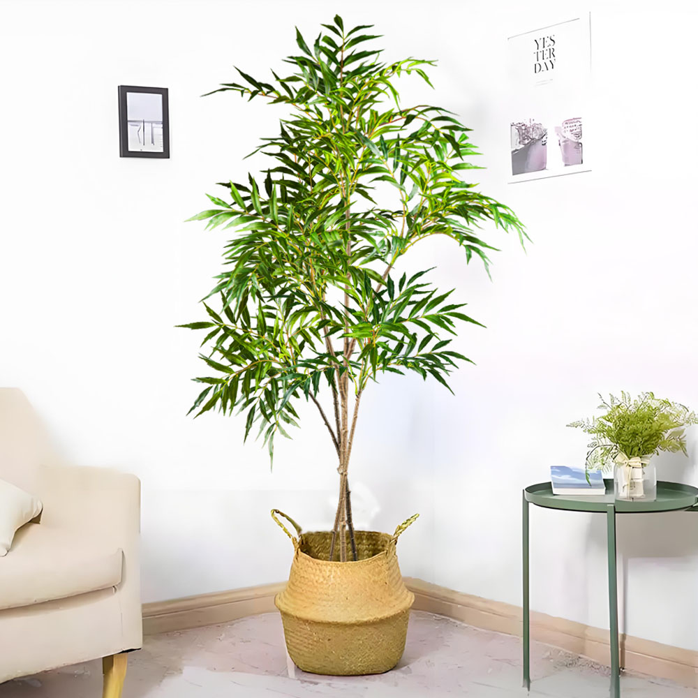 78-140 センチメートル大型人工カンジダ植物プラスチック - Dracaena Marginata のレビューと価格