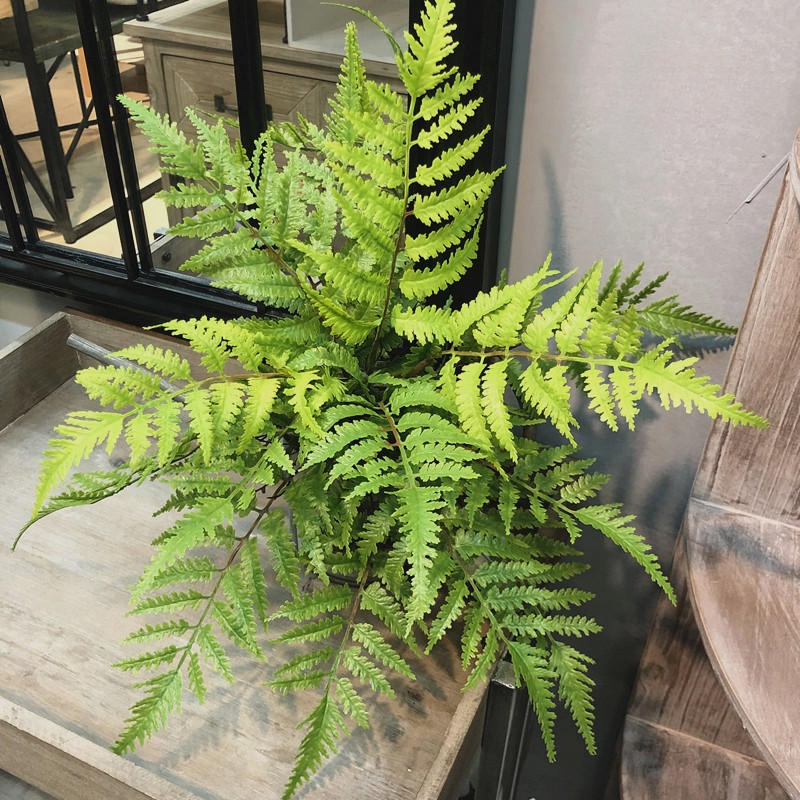 1 個人工植物寝室パーティー家の装飾 7 枝 DIY フェイ - Dracaena Marginata のレビューと価格