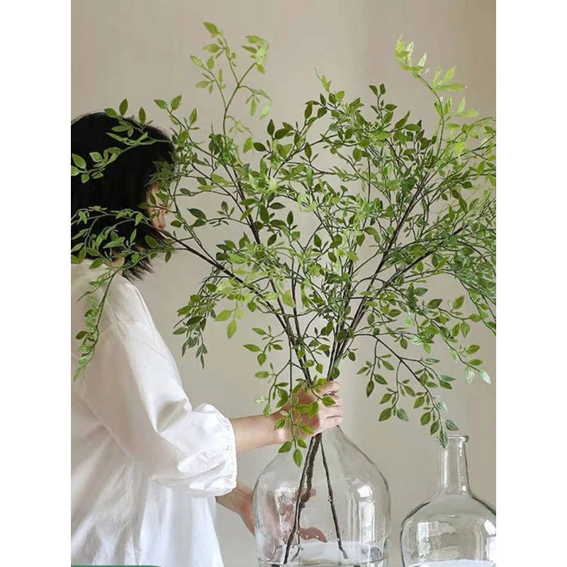 人工のシングルブランチ3つの人工グリーン植物、模擬フォルシシ - Dracaena Marginata のレビューと価格