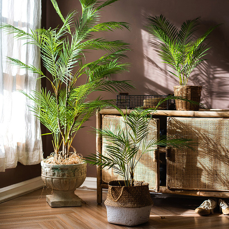 125cm大型人工ヤシの木、トロピカルプランツ、プラスチック - Dracaena Marginata のレビューと価格